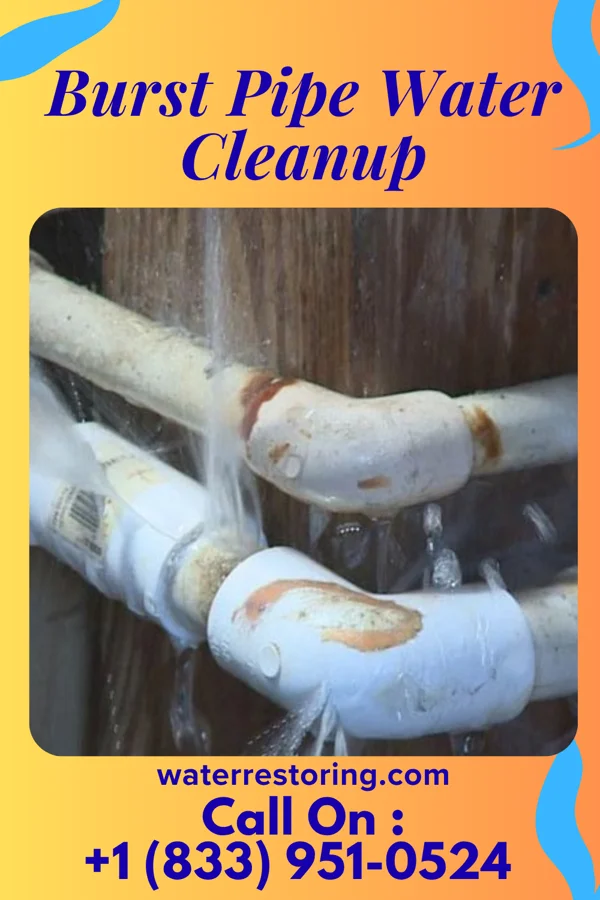 Burst Pipe Water Cleanup in York Haven, PA
