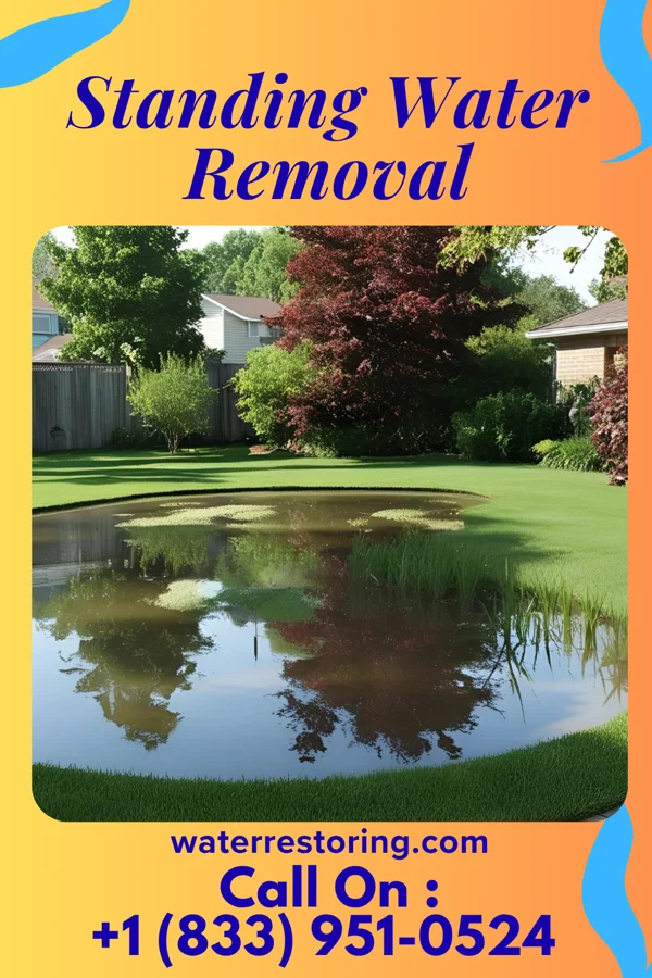 Standing Water Removal in York Haven, PA